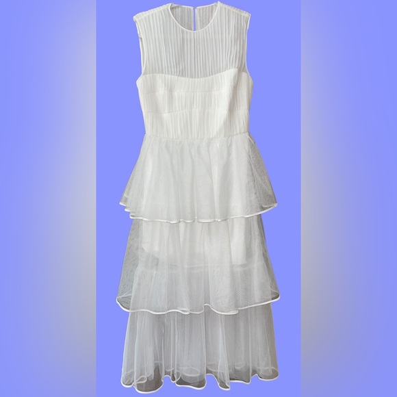 🆕#249 NWT~JONATHAN SIMKHAI Benton Tulle Plisse Midi Dress, Size 4 - Picture 10 of 16